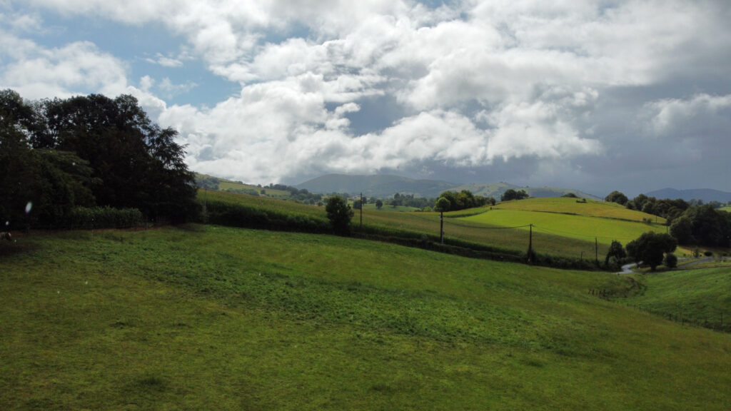 Magnifique ferme à Helette – 6 pièces – 4 chambres – 8  – 250 m²