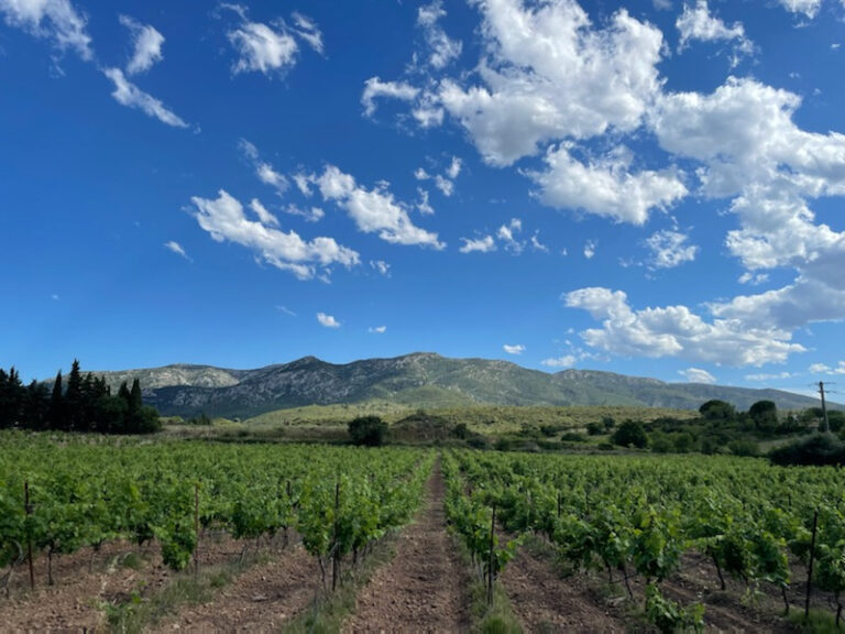 DERNIER LOT  A LA VENTE – FRAÏSSE-DES-CORBIERES- LOTISSEMENT – NR pièces – NR chambres – 1200 m²