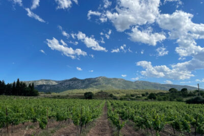 DERNIER LOT  A LA VENTE – FRAÏSSE-DES-CORBIERES- LOTISSEMENT – NR pièces – NR chambres – 1200 m²