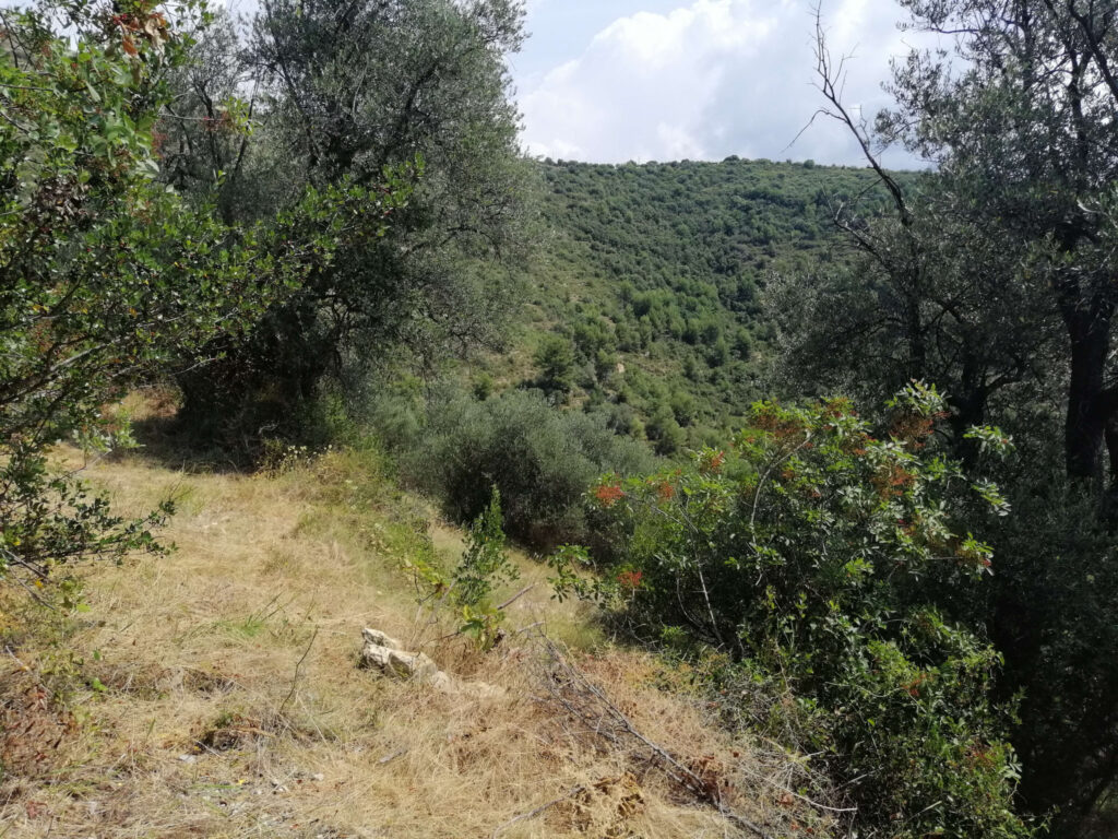 terrain  – NR pièces – NR chambres – NR  – 2935 m²