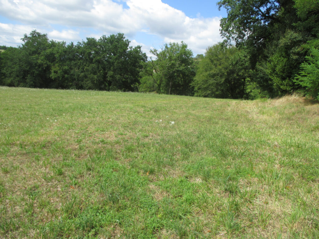 DORDOGNE-LE BUGUE- TERRAIN A BATIR – NR pièces – NR chambres – 6