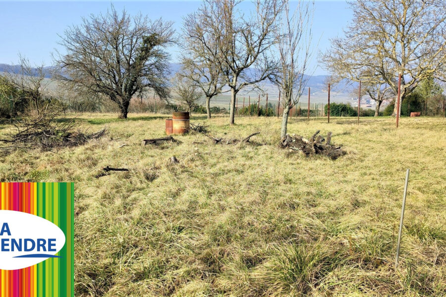 Terrain à vendre à Rouffach — Vue vignes — photo 2