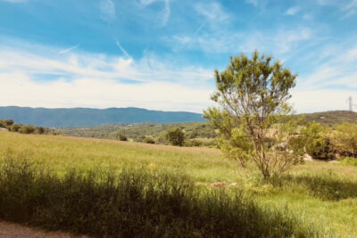  A VIENS maison de 100 m2 sur 3500 m2 de terrain au coeur du  – 5 pièces – 3 chambres – 100 m²