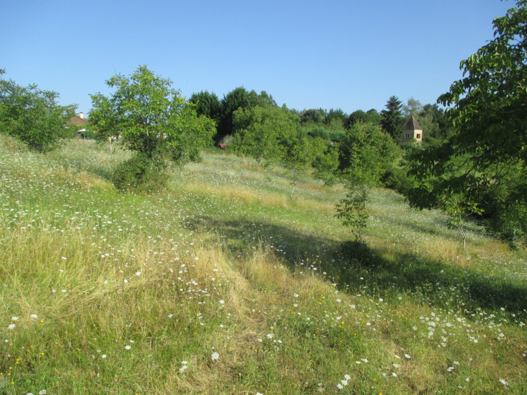 DORDOGNE- COUX ET BIGAROQUE- TERRAIN – NR pièces – NR chambres – 6