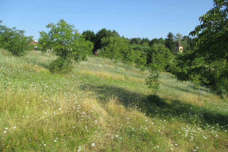 Terrain à vendre à Coux et biragoque