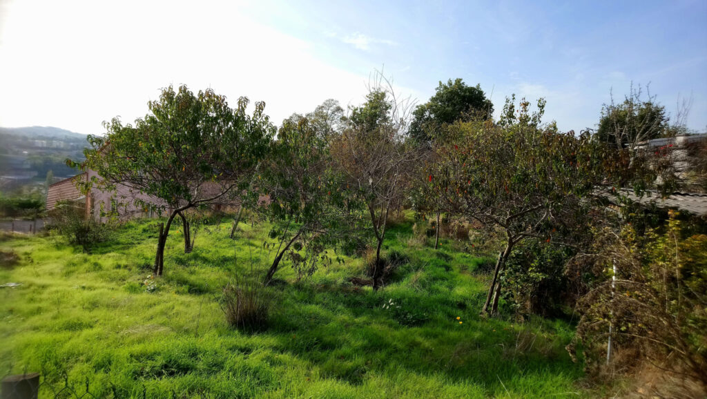 EXCLUSIVITE TERRAIN A BATIR ! – NR pièces – NR chambres – 10