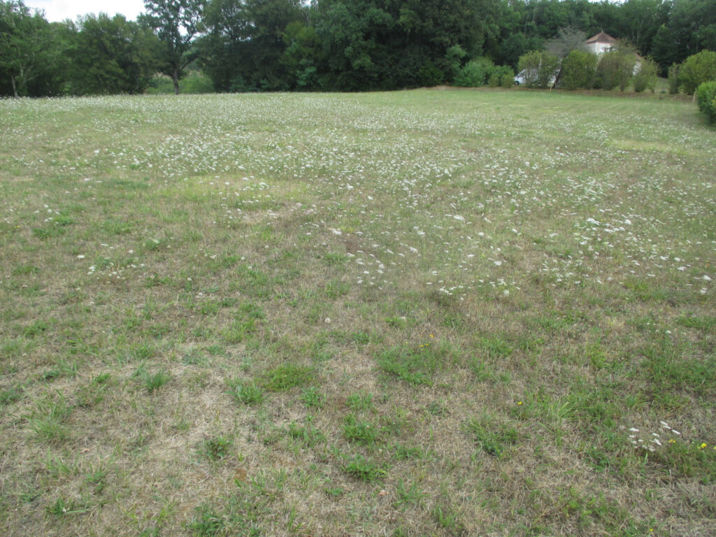 DORDOGNE-LE BUGUE- TERRAIN A BATIR – NR pièces – NR chambres – 6