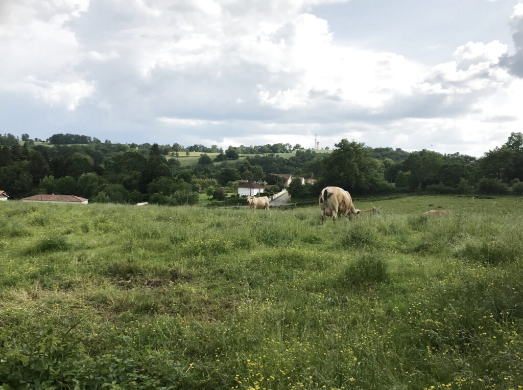 Projet de construction de 7 maisons dans le Lot, terrain de  – NR pièces – NR chambres – 6