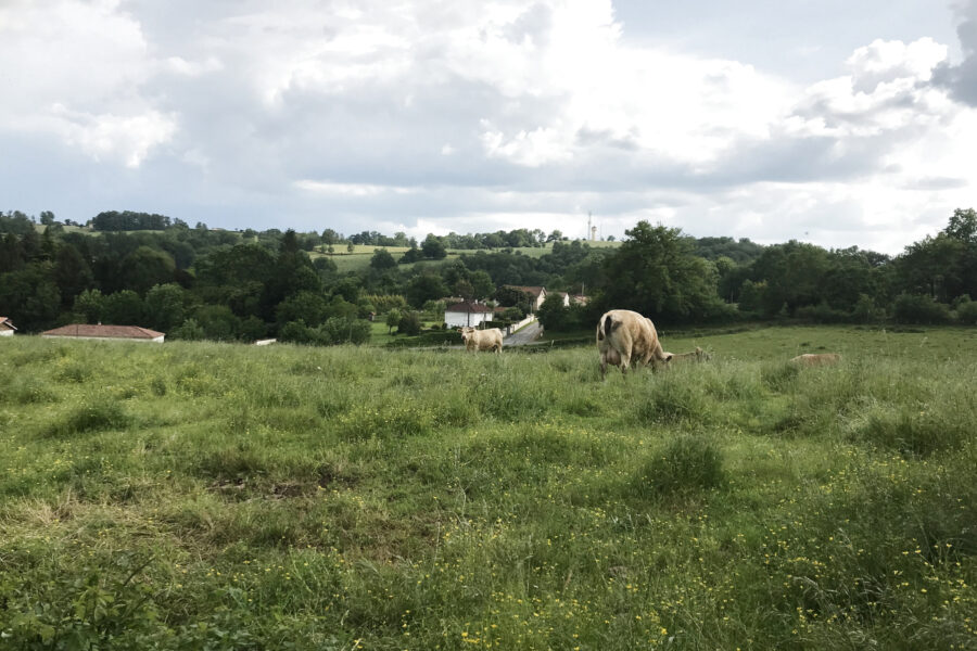 Terrain à vendre à Bagnac-sur-célé