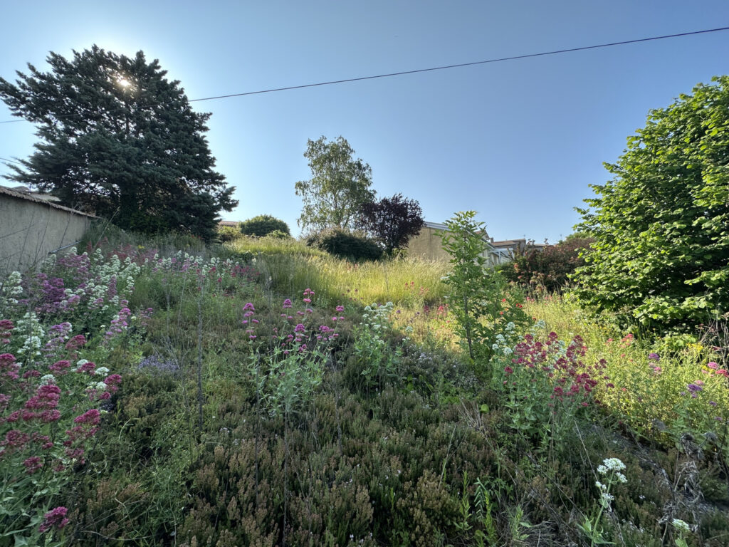 EXCLUSIVITE – TERRAIN CONSTRUCTIBLE – 42540  – NR pièces – NR chambres – 4  – 559 m²