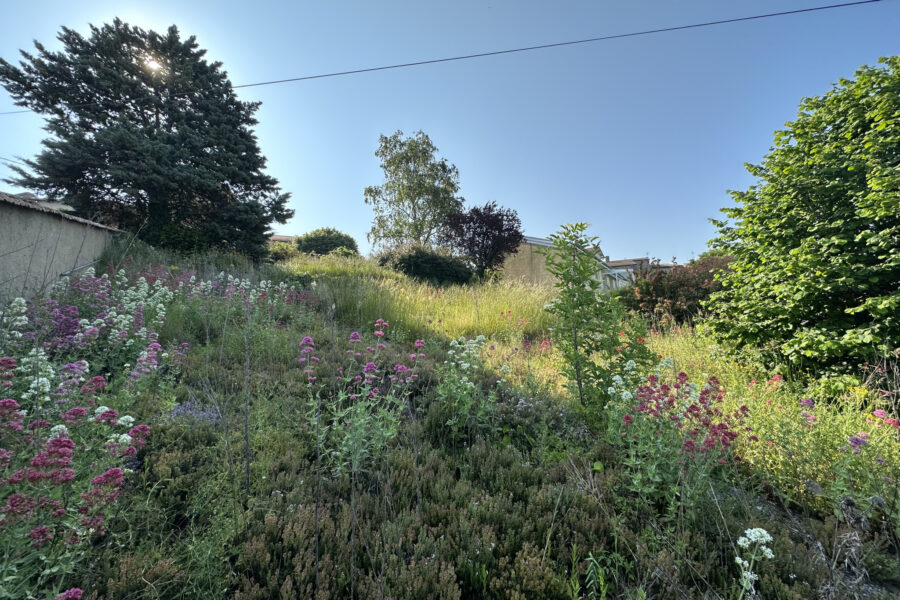 Terrain à vendre à Balbigny