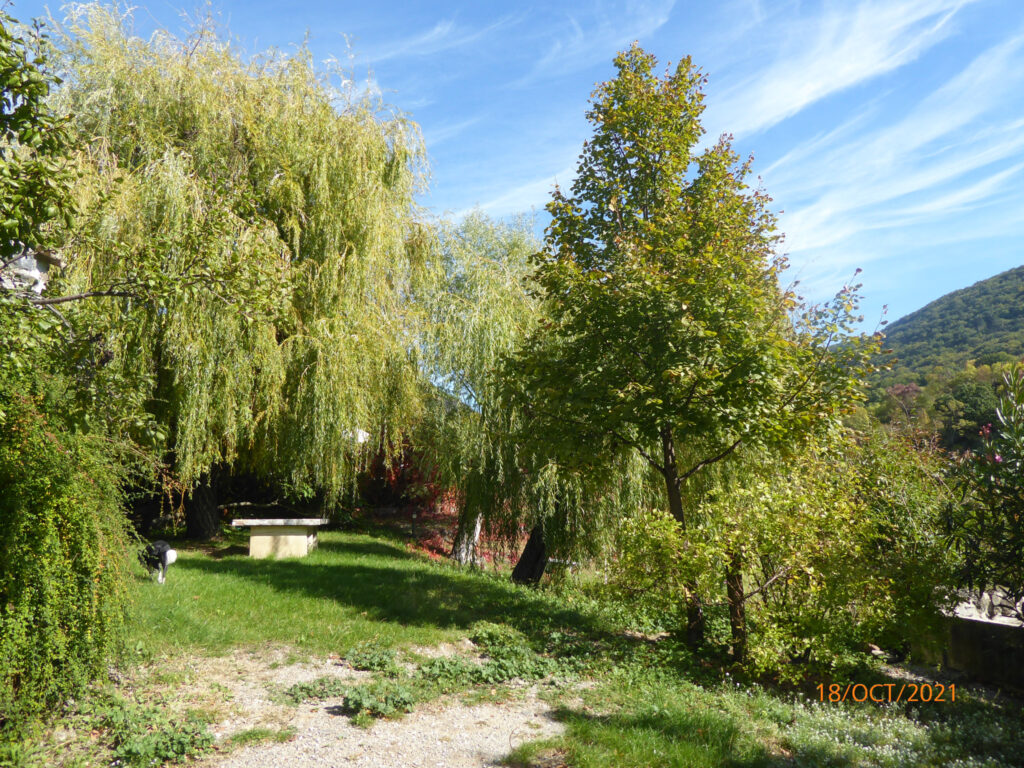 MAS RENOVE DE 14 PIECES ET 3 HABITATIONS A LA CAMPAGNE – 14 pièces – 11 chambres – 6  – 308 m²