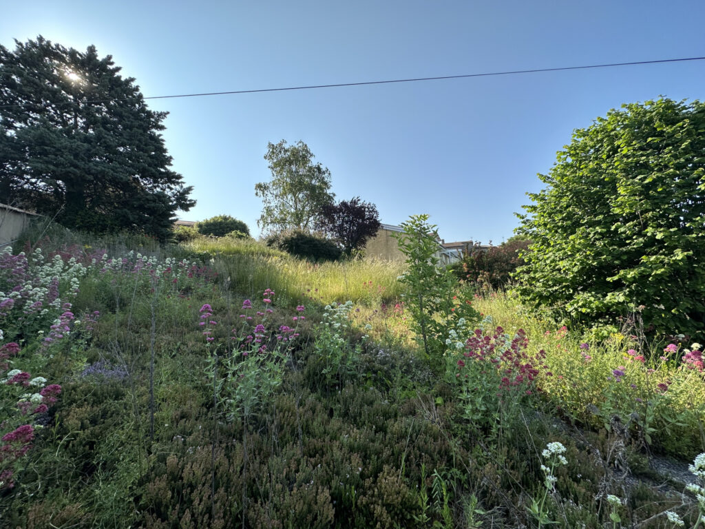 EXCLUSIVITE – TERRAIN CONSTRUCTIBLE – 42540  – NR pièces – NR chambres – 4  – 559 m²