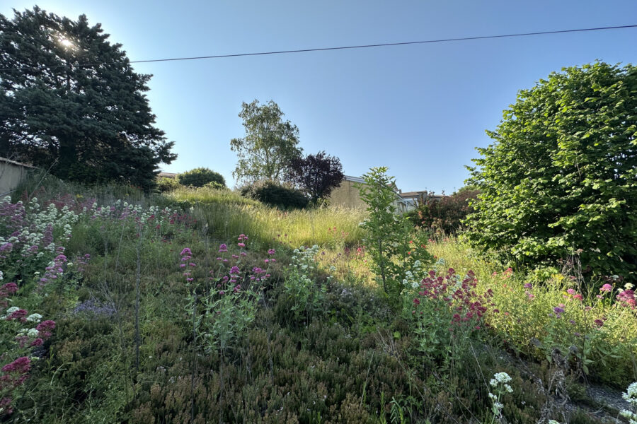 Terrain à vendre à Balbigny