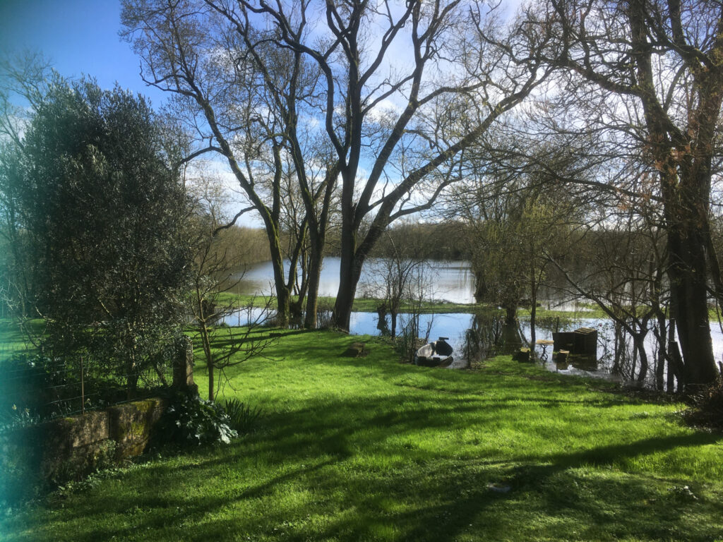 AU COEUR DU MARAIS POITEVIN LONGERE AVEC CHAMBRES D’HÖTES EN – 8 pièces – 5 chambres – 6  – 249 m²