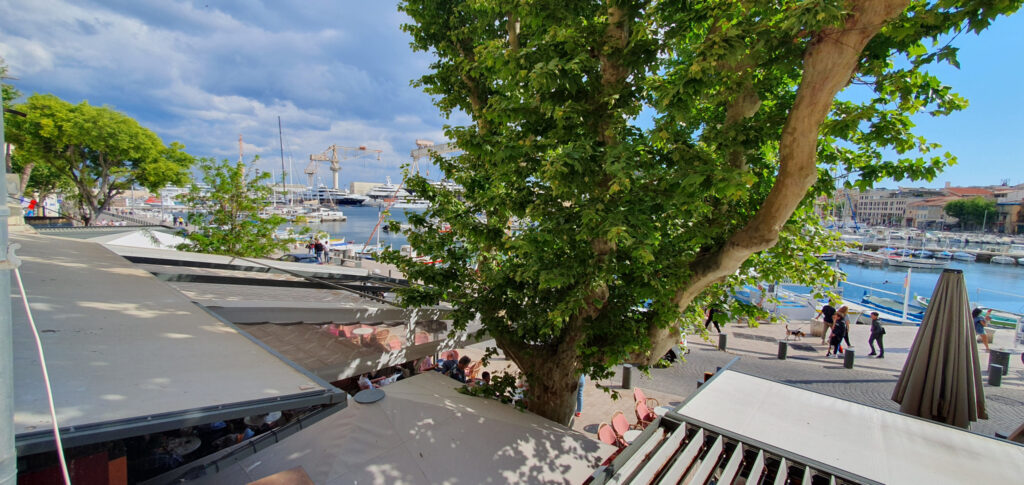 RARE studio La Ciotat vue directe Vieux Port – 1 pièce – NR chambres – 6  – 30.03 m²