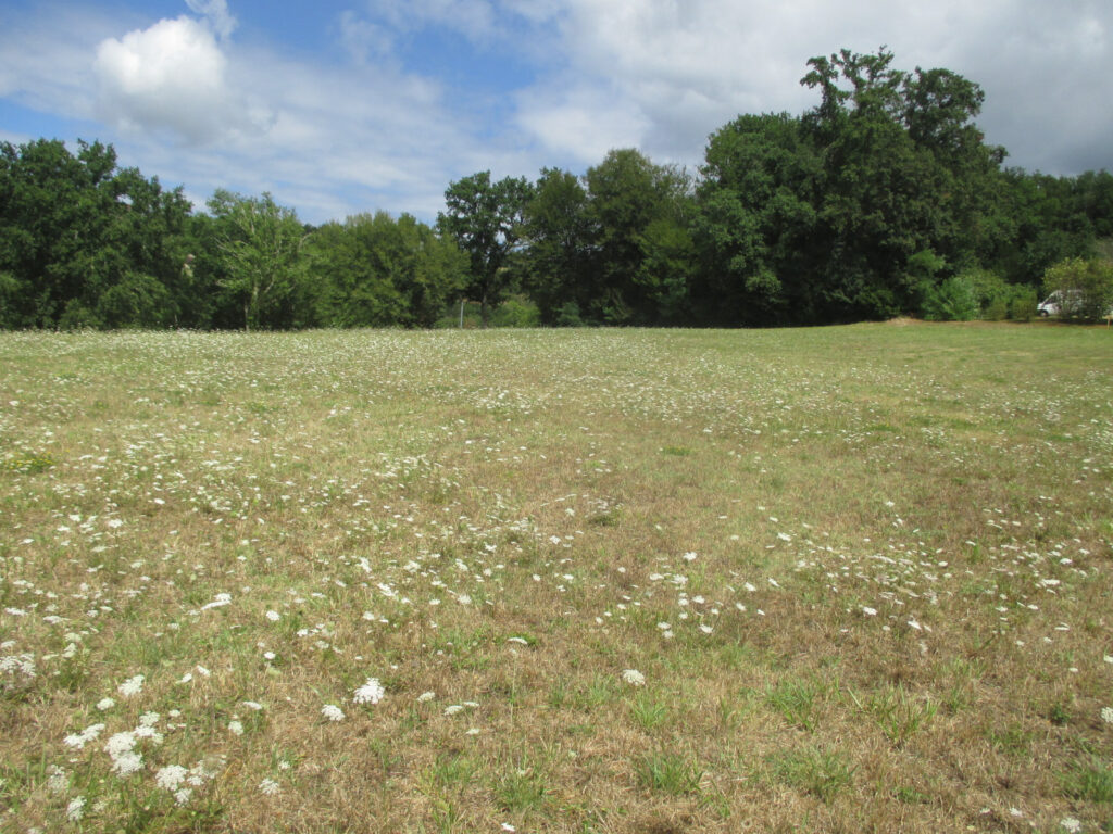 DORDOGNE-LE BUGUE- TERRAIN A BATIR – NR pièces – NR chambres – 6