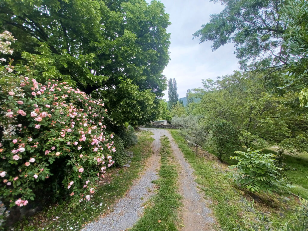 MAS RENOVE DE 14 PIECES ET 3 HABITATIONS A LA CAMPAGNE – 14 pièces – 11 chambres – 6  – 308 m²