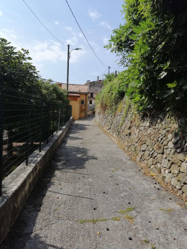 terrain  – NR pièces – NR chambres – NR  – 2935 m²