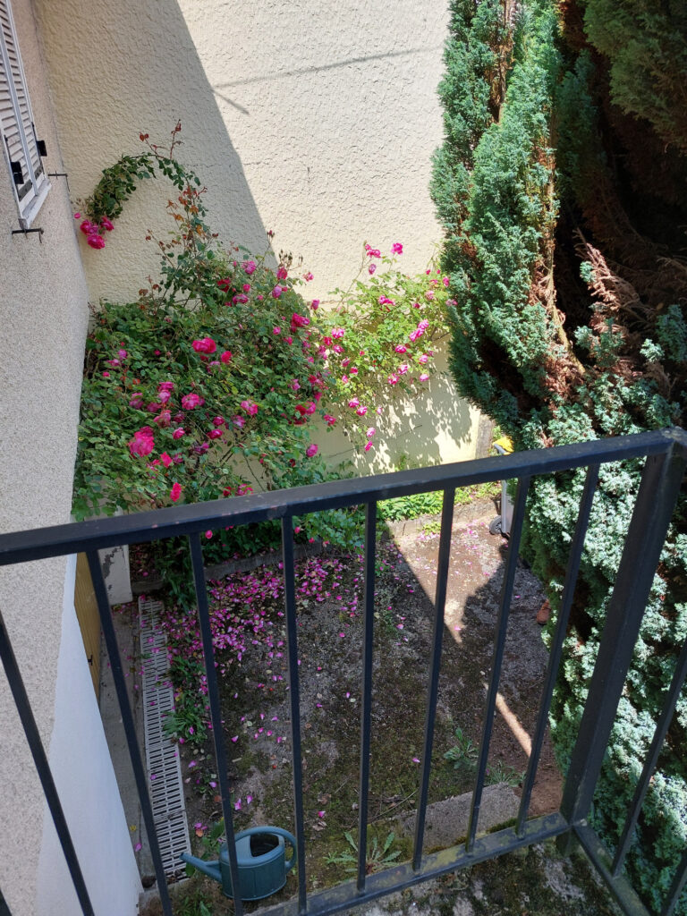 Maison sur les hauteurs de Saint-Yorre avec vue remarquable  – 5 pièces – 2 chambres – 6  – 100 m²