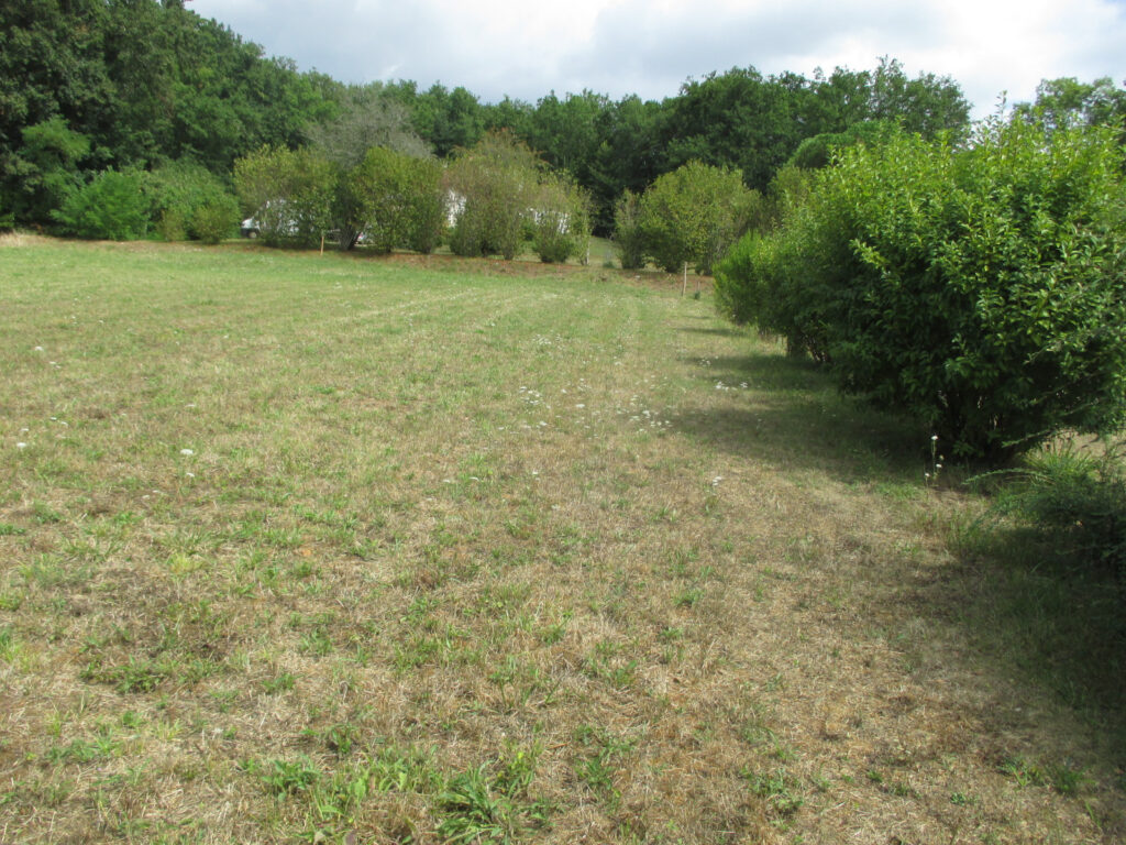 DORDOGNE-LE BUGUE- TERRAIN A BATIR – NR pièces – NR chambres – 6