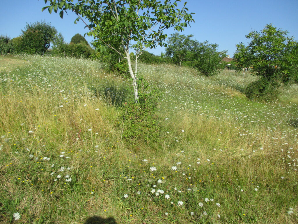 DORDOGNE- COUX ET BIGAROQUE- TERRAIN – NR pièces – NR chambres – 6