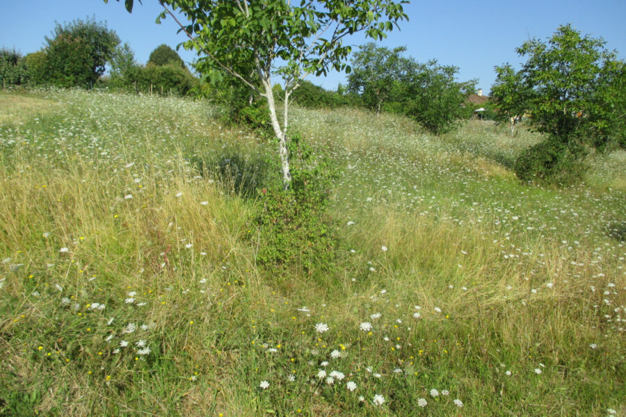 Terrain à vendre à Coux et biragoque