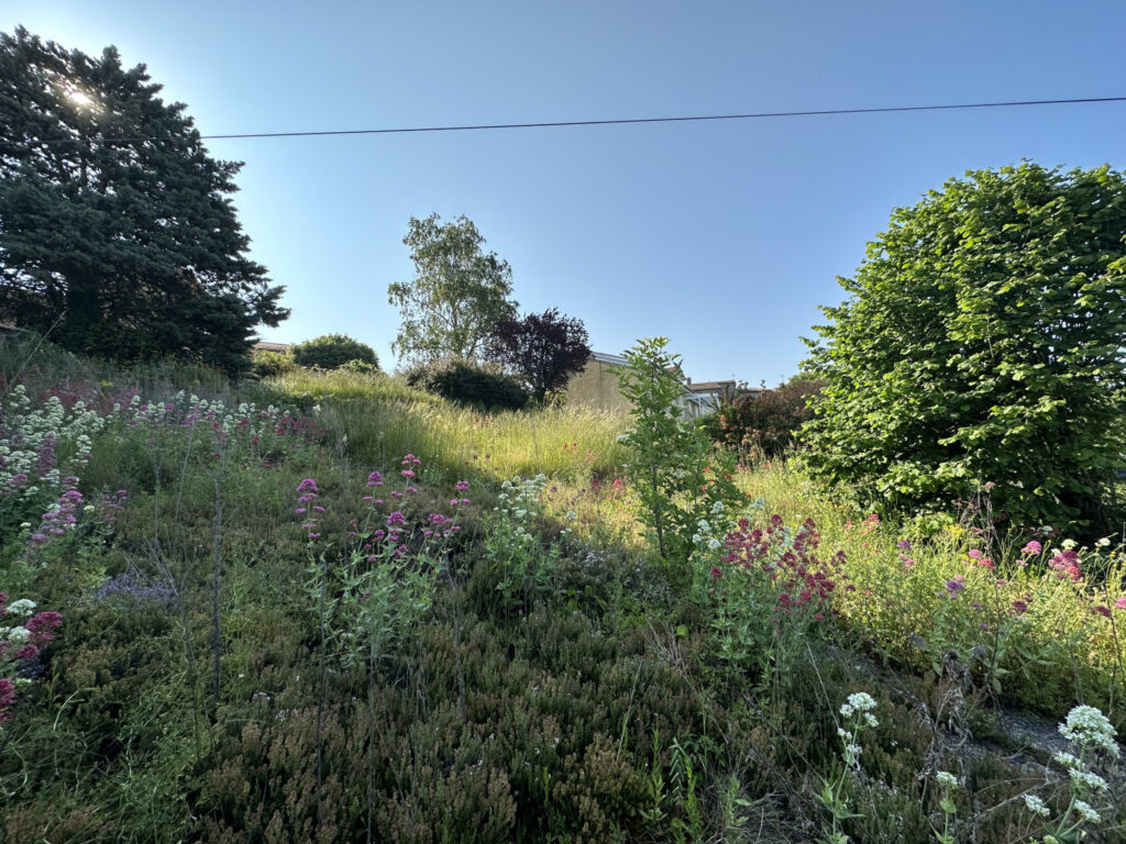 EXCLUSIVITE – TERRAIN CONSTRUCTIBLE – 42540  – NR pièces – NR chambres – 4  – 559 m²