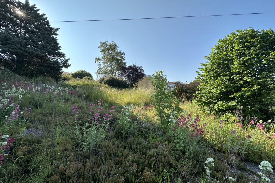 Terrain à vendre à Balbigny