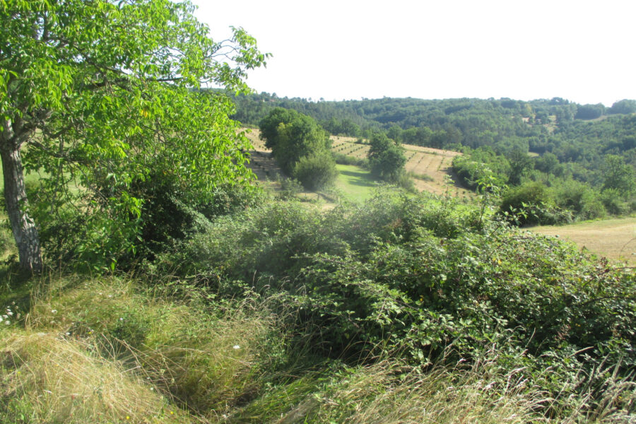 Terrain à vendre à Coux et biragoque