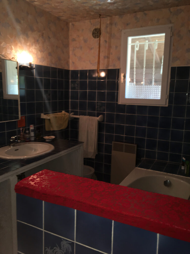 BELLE MAISON SUR LES HAUTEURS DE MAURS  – 6 pièces – 4 chambres – 6  – 252 m²