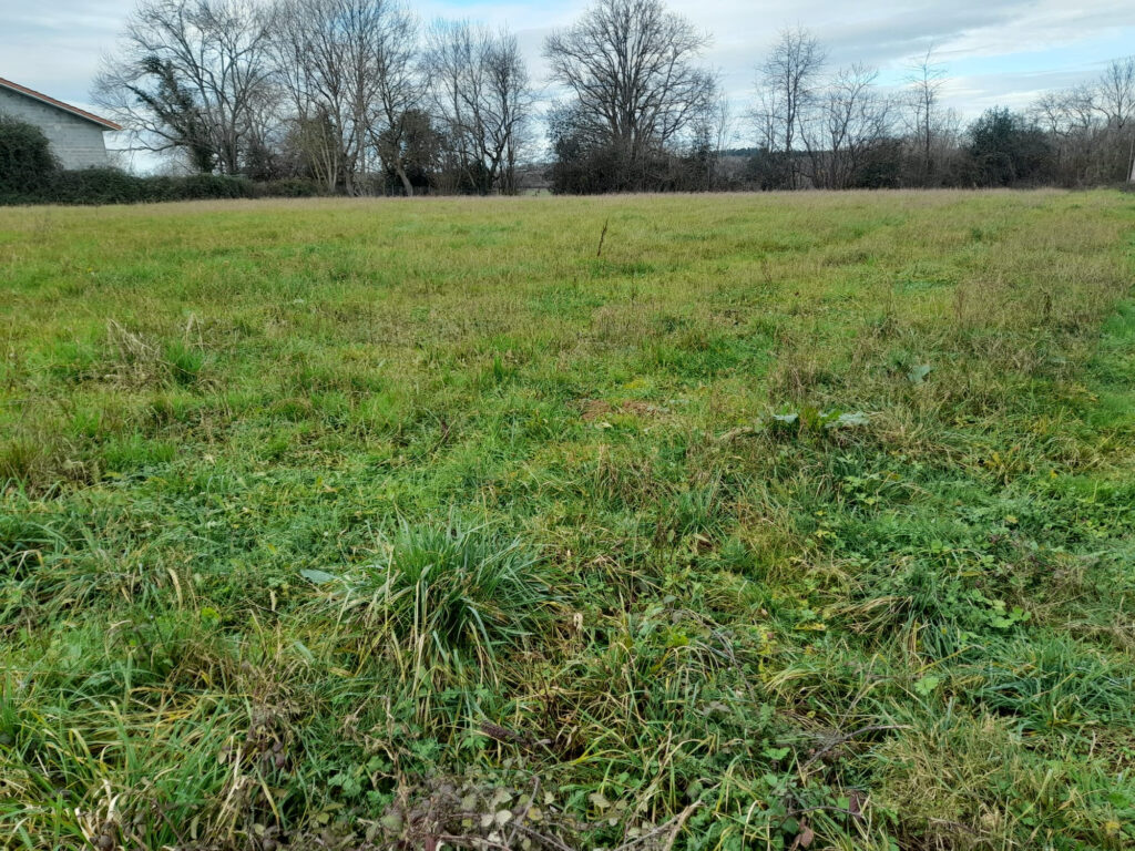 TERRAIN A SAISIR  – NR pièces – NR chambres – 2  – 4237 m²