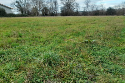 TERRAIN A SAISIR  – NR pièces – NR chambres – 4237 m²
