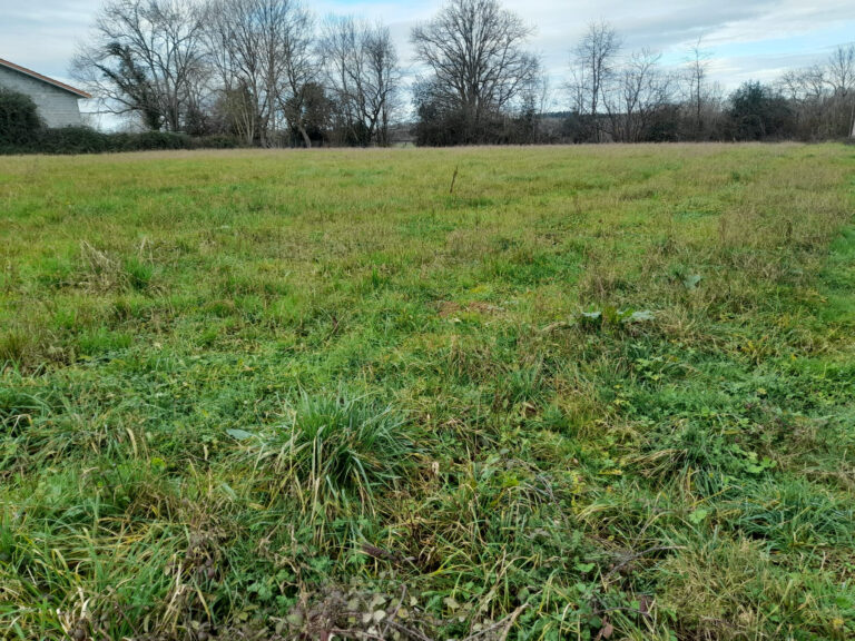 TERRAIN A SAISIR  – NR pièces – NR chambres – 4237 m²