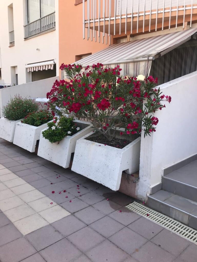 Appartement 2 pieces piscine – 2 pièces – 1 chambre – 2 voyageurs – 30 m²