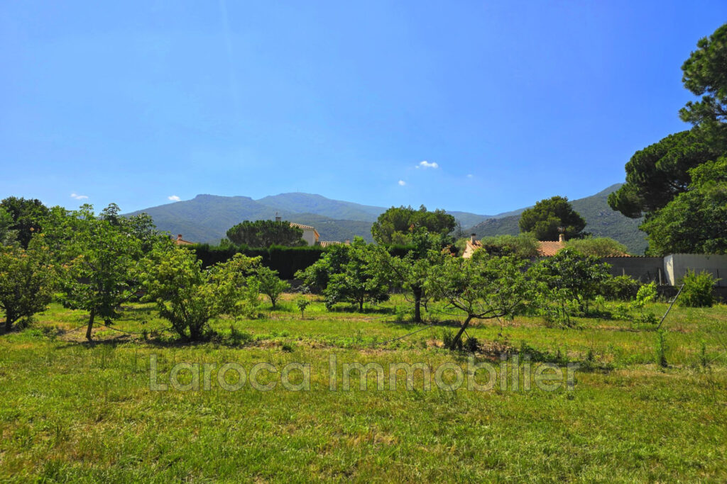 Achat terrain à Laroque des Albères – NR pièces – NR chambres – 1956.00 m²