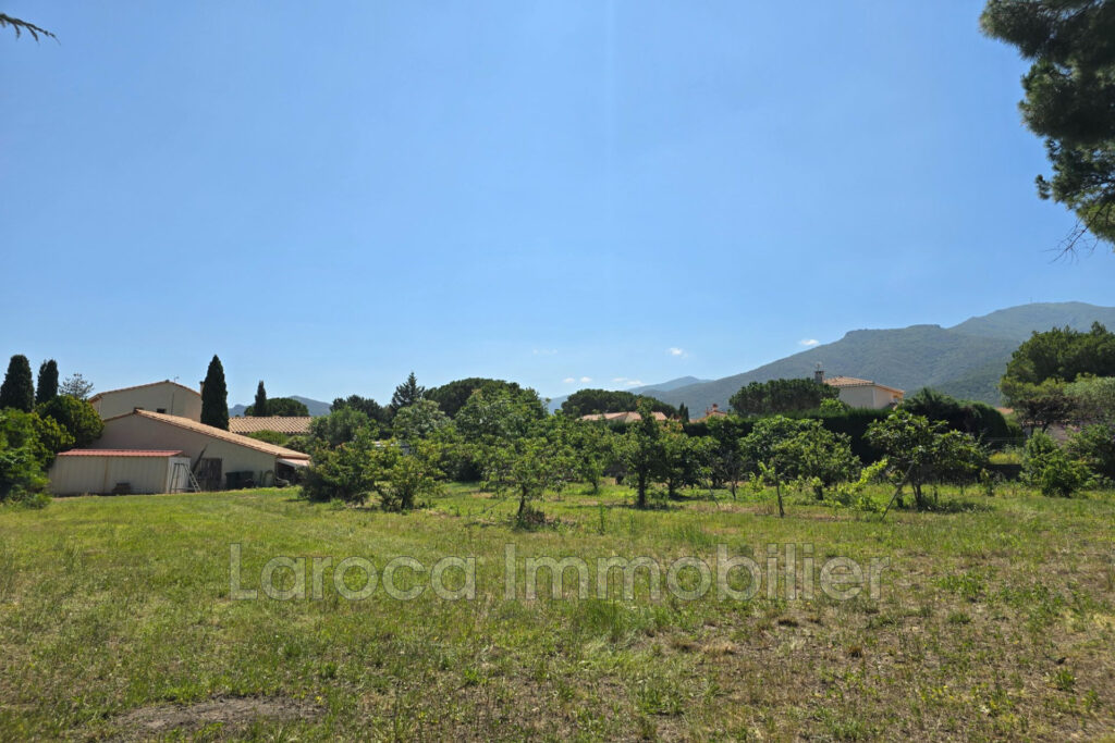 Achat terrain à Laroque des Albères – NR pièces – NR chambres – 1956.00 m²