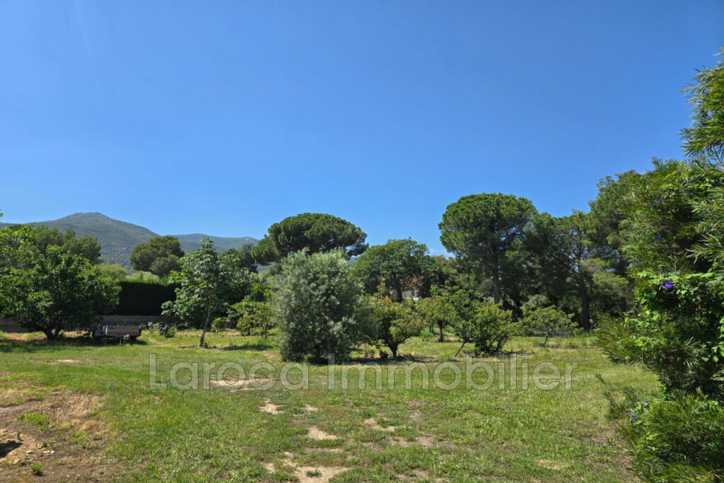 Achat terrain à Laroque des Albères – NR pièces – NR chambres – 1956.00 m²