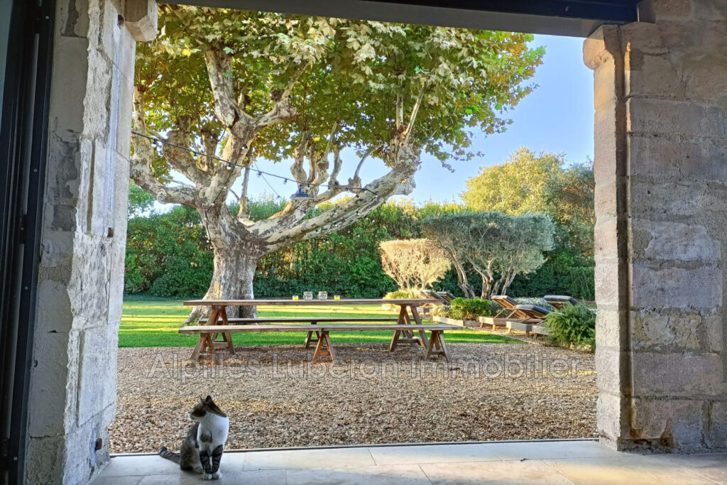 location saisonnière mas 6 Pièce(s) – 6 pièces – 4 chambres – 180.00 m²