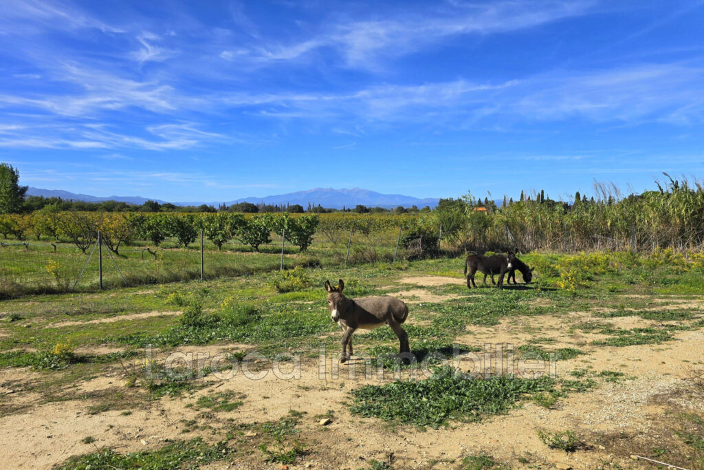 Vente villa à Laroque des Albères – 4 pièces – 3 chambres – 154.00 m²