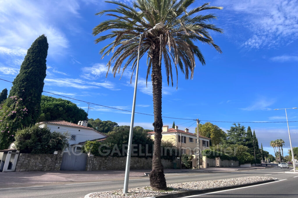 vente appartement 2 Pièce(s) – 2 pièces – 1 chambre – 41.18 m²