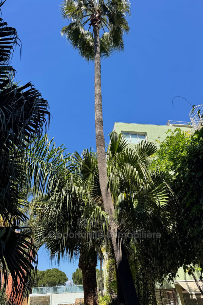 vente Idéal investisseur 3 Pièce(s) – 3 pièces – 2 chambres – 43.89 m²