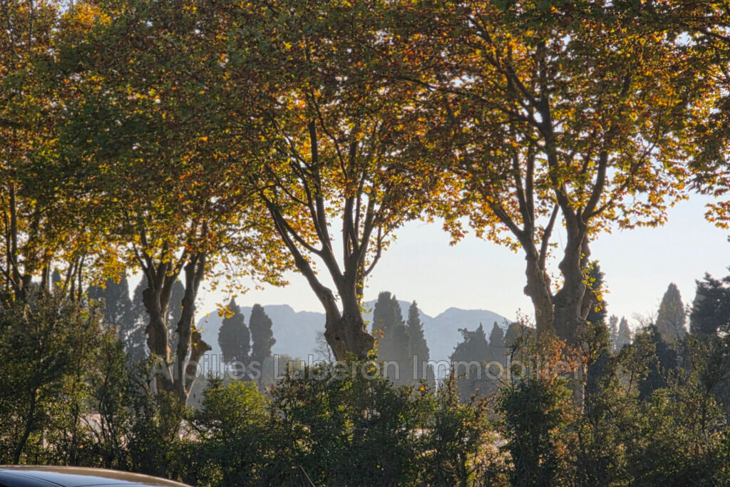 vente mas 9 Pièce(s) – 9 pièces – 6 chambres – 380.00 m²