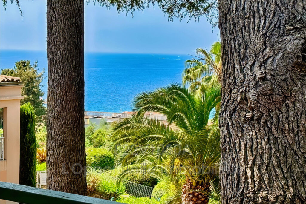 vente Idéal investisseur 2 Pièce(s) – 2 pièces – 1 chambre – 31.36 m²