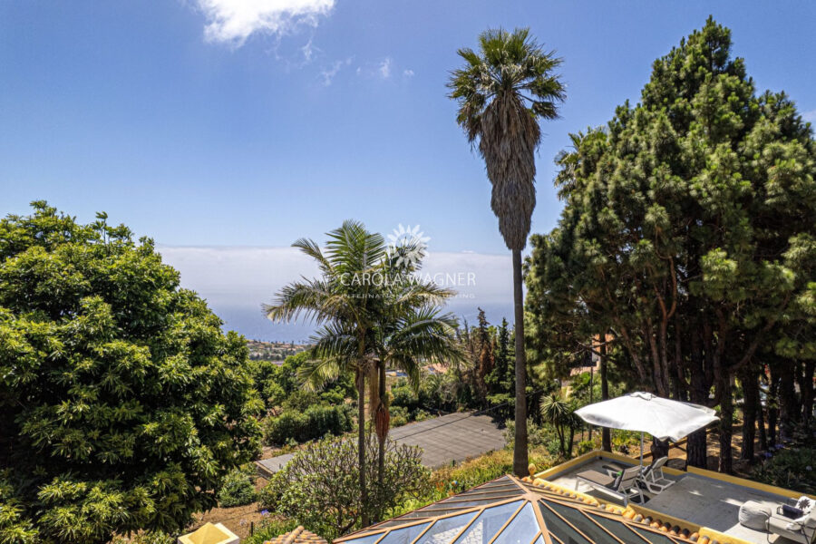 Maison à vendre à Brena baja