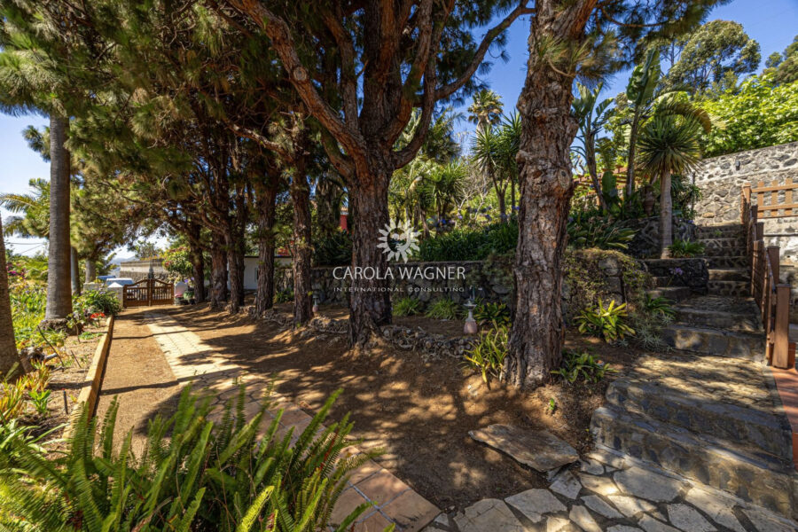 Maison à vendre à Brena baja
