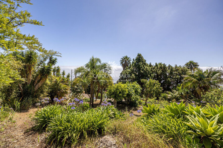 Maison à vendre à Brena baja