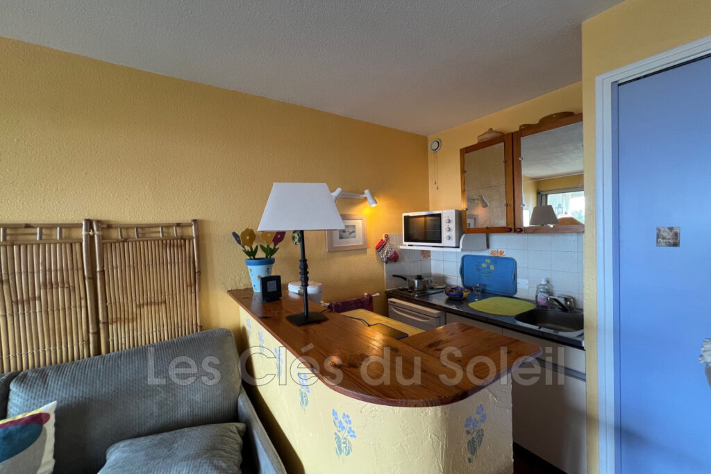 vente appartement 1 Pièce(s) – 1 pièce – NR chambres – 20.29 m²