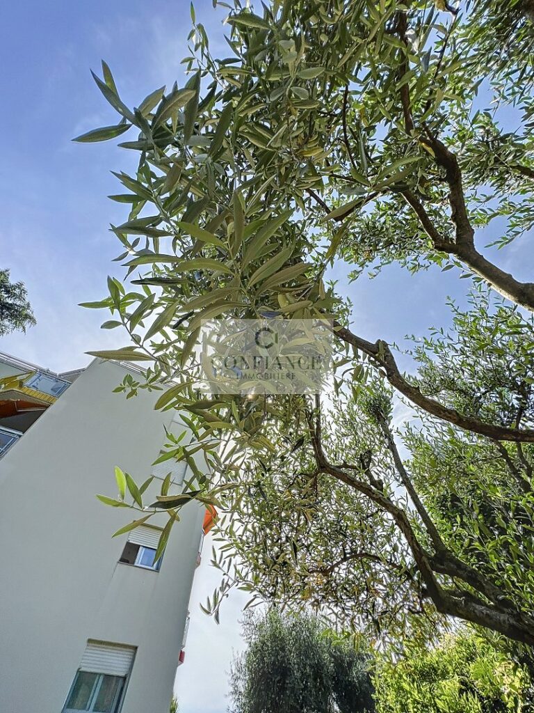 Appartement – 2 pièces – 1 chambre – 37 m²