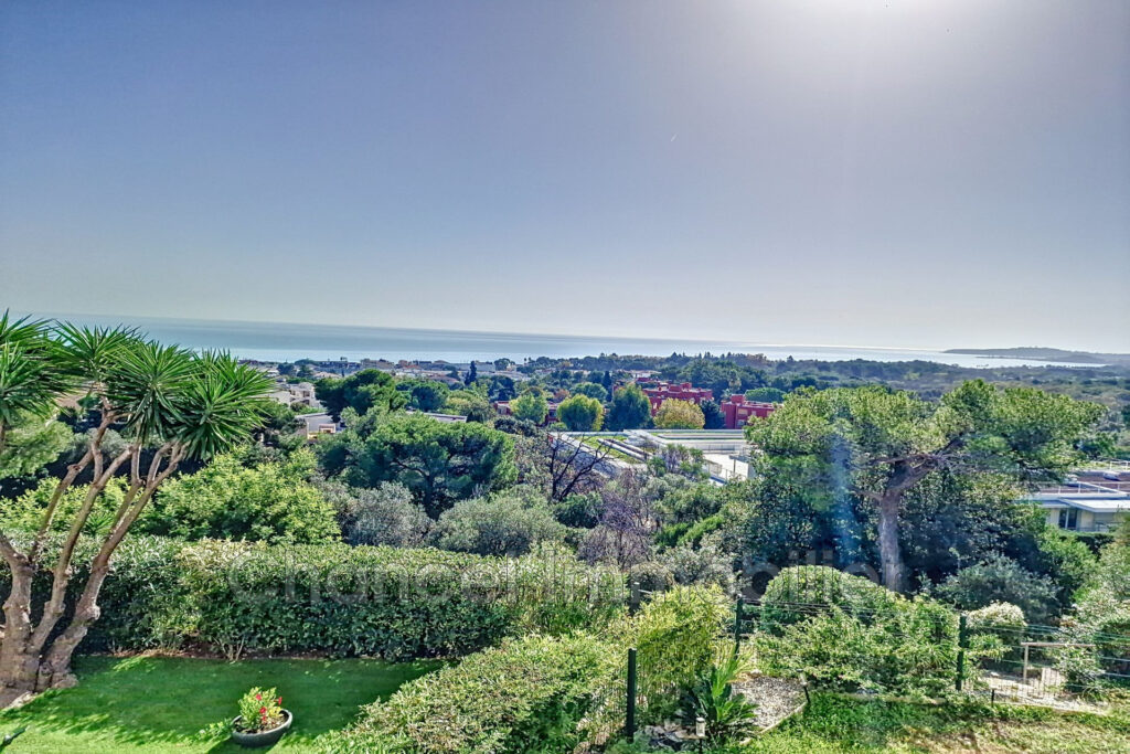 location appartement 1 Pièce(s) – 1 pièce – NR chambres – 28.46 m²